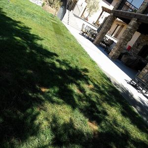 Meet your Posher, Gustavo